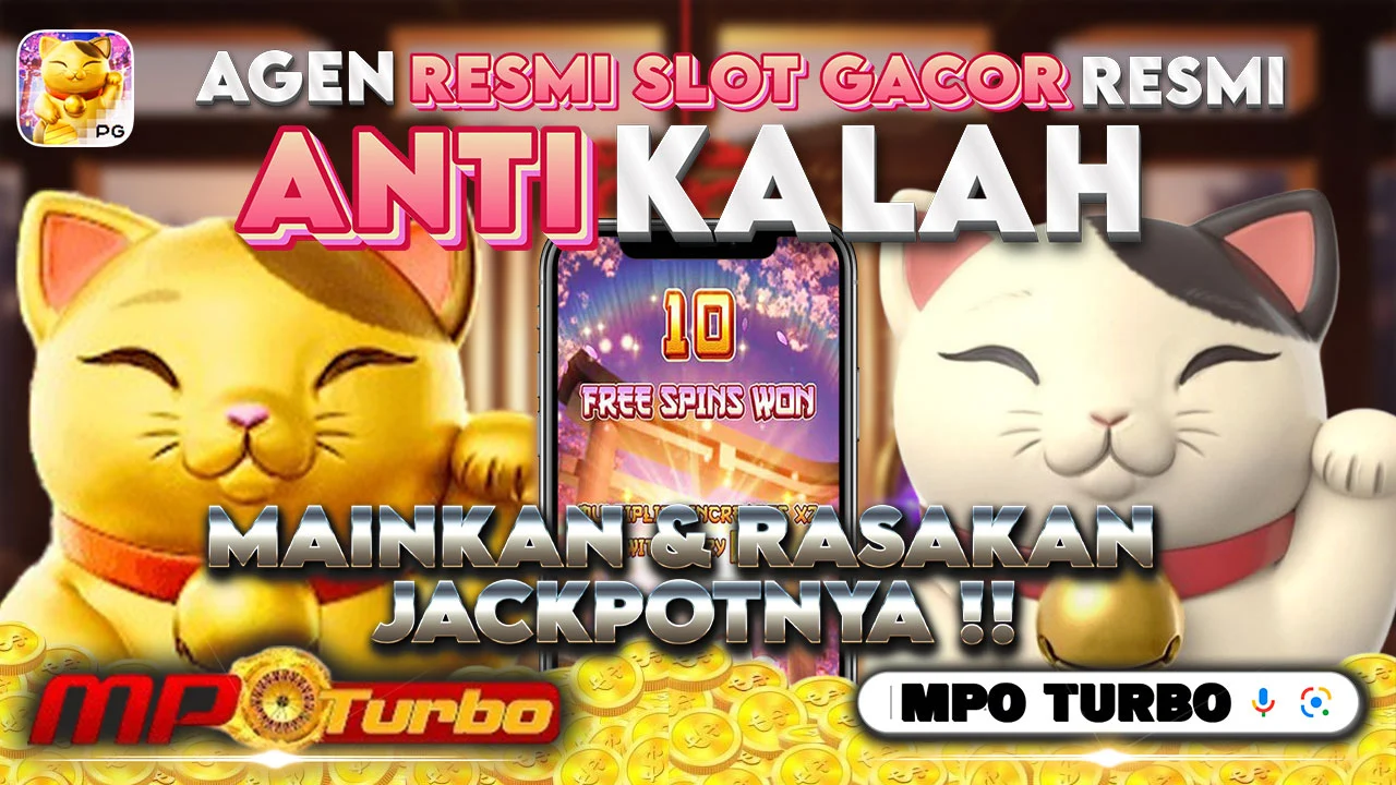Hoki Daily News